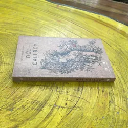 ĐỜI CALLBOY- NGUYỄN NGỌC THẠCH- văn học 2016 738013