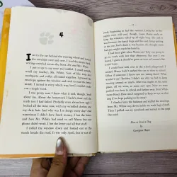 [Sách 2hand từ US] Like new 90% - How to Steal a Dog – Barbara O'Connor 991519