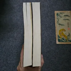 Đại gia - Thiên Sơn 730460