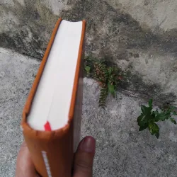 Dinh trấn Thanh Chiêm và chữ Quốc ngữ  1026084