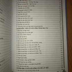 Phong thuỷ cải vận - Dành cho mệnh khuyết Mộc, Hoá 701568