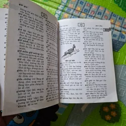 Từ điển Tiếng Việt 785168