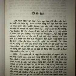 Con chim trốn tuyết 674603