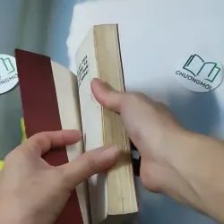 Đọc Hồi Ký Của Các Tướng Tá Sài Gòn - Cao Tự Thanh 928596