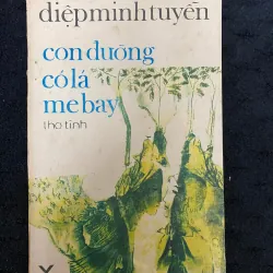 Con đường có lá me bay của nhà thơ, nhạc sĩ Diệp Minh Tuyền. 