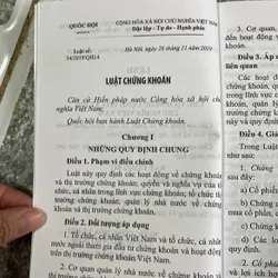 Luật Chứng khoán 2019 609844