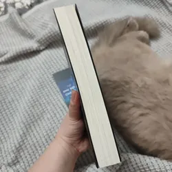 Nơi khu rừng chạm tới những vì sao 736303