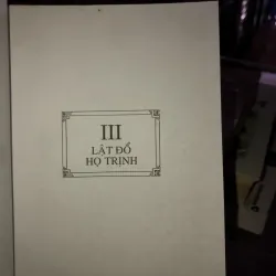 Tây Sơn bi hùng truyện - Lê Đình Danh 972202