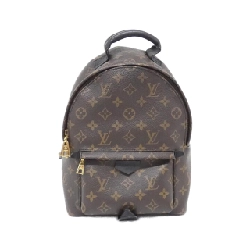 Balo Louis Vuitton Monogram Palm Springs PM M41560