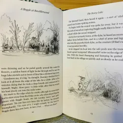 [Sách tiếng Anh 2hand] Like new 90% - A Boggle at Bewilderwood – Tom Blofeld 958415