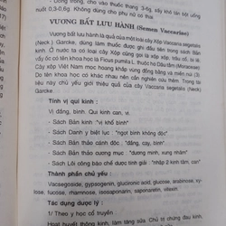 DƯỢC HỒI CỔ TRUYỀN  539026