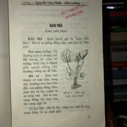 Những cây thuốc nam thông dụng dễ tìm và các bài thuốc gia truyền 781061