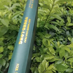 Mấy người con trai Vương Ling của Pearl Puck 970860