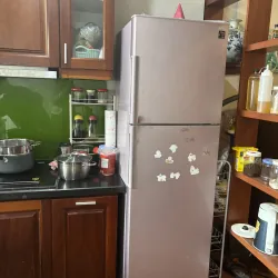 Tly tủ lạnh Sharp 271L chưa qua sửa chữa