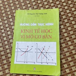 Hướng dẫn thực hành kinh tế học vĩ mô cơ bản