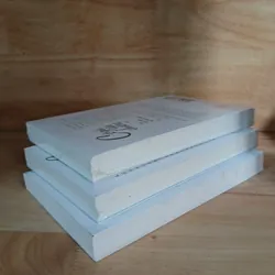 Cô Gái Văn Chương (Tập 1, 2, 3) - Nomura Mizuki 599483