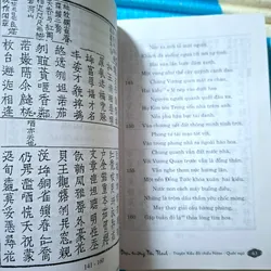 ĐOẠN TRƯỜNG TÂN THANH - TRUYỆN KIỀU 717821