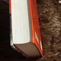 Tiếng chim hót trong bụi mận gai 705544