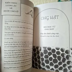 Muông Thú Dạy Ta Bài Học Cuộc Sống 797298