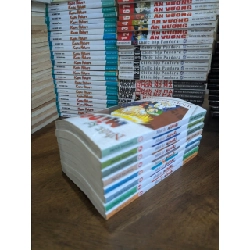 TRUYỆN TRANH NHẬT KÝ MIDORI 320603