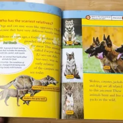 National geographic (Sách nhập) - Level 3 - 38 quyển + File Mp3 759657