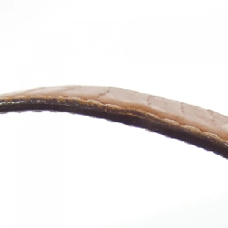 【Vintage】Túi Celine 620020