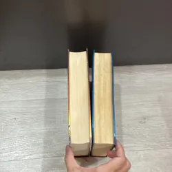 Meo Hoang của tác giả Đinh Măc 501488