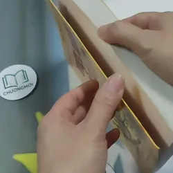 Việt Nam Sử Lược 715609