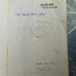 Bia mộ điên và bầy diều hâu gãy cánh - Erich Maria Remarque 571994