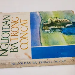 Tiểu thuyết Nhật NGƯỜI ĐÀN BÀ TRONG CỒN CÁT (Kobo Abe) 786316