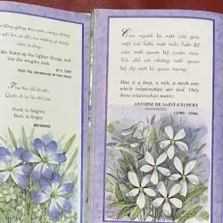 Friendship - Tình Bạn 1027458