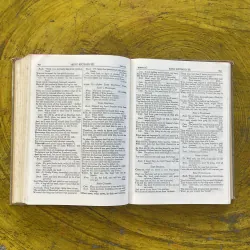 THE COMPLETE WORKS OF WILLIAM SHAKESPEARE 1002500