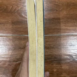 Người mẹ - Magxim Gorky (6) 715373