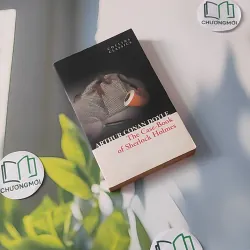 The Case-Book of Sherlock Holmes - Arthur Conan Doyle 1027186