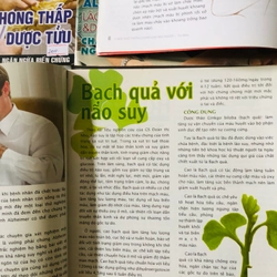 2. LÔ BÁO Y HỌC PHỔ THÔNG  541727