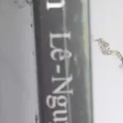 Thơ Thiền Lê-Nguyễn Zen Poems 695766