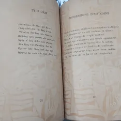 ÁNH SÁNG TRONG ĐÊM - VÕ LONG TÊ 752874