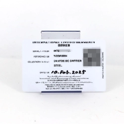 Cartier Santos-Du-Cartier LM WSSA0064 SS tự động - Hàng hiệu Chính hãng 881975