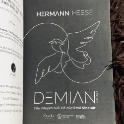 Combo demian + Huệ tím 1017660