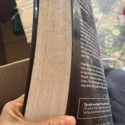 Hòn tuyết lăn 1020922