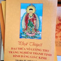 Phật Thuyết Đại Thừa Vô Lượng Thọ Trang Nghiêm Thanh Tịnh Bình Đẳng Giác Kinh (Bìa Mềm)