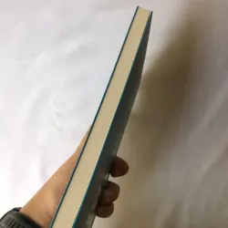 Bánh Mì Kẹp Chuột - David Walliams 740833