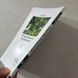 Kĩ thuật trồng cây ăn quả dài ngày 746848