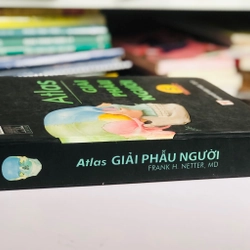 ATLAS GIẢI PHẪU NGƯỜI 5 479466