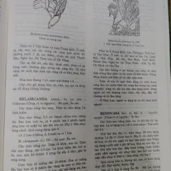 TỪ ĐIỂN THỰC VẬT THÔNG DỤNG TẬP 1 676003