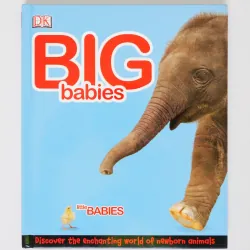 Big babies, little Babies: Discover the enchanting world of newborn animals