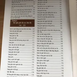 Từ điển nghệ thuật gốm sứ thế giới 1021482