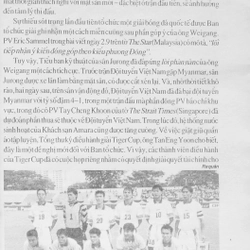 Bóng đá Việt Nam trước & sau Asean Tiger Cup 275406