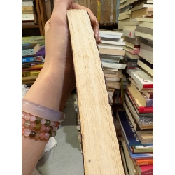 Ông chủ (người tư hữu) - John Galsworhty 121437