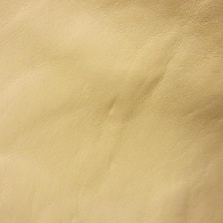 Túi Chanel - Hàng hiệu Authentic 805266